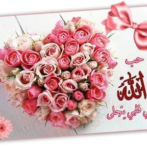 Meet your Posher, Ali